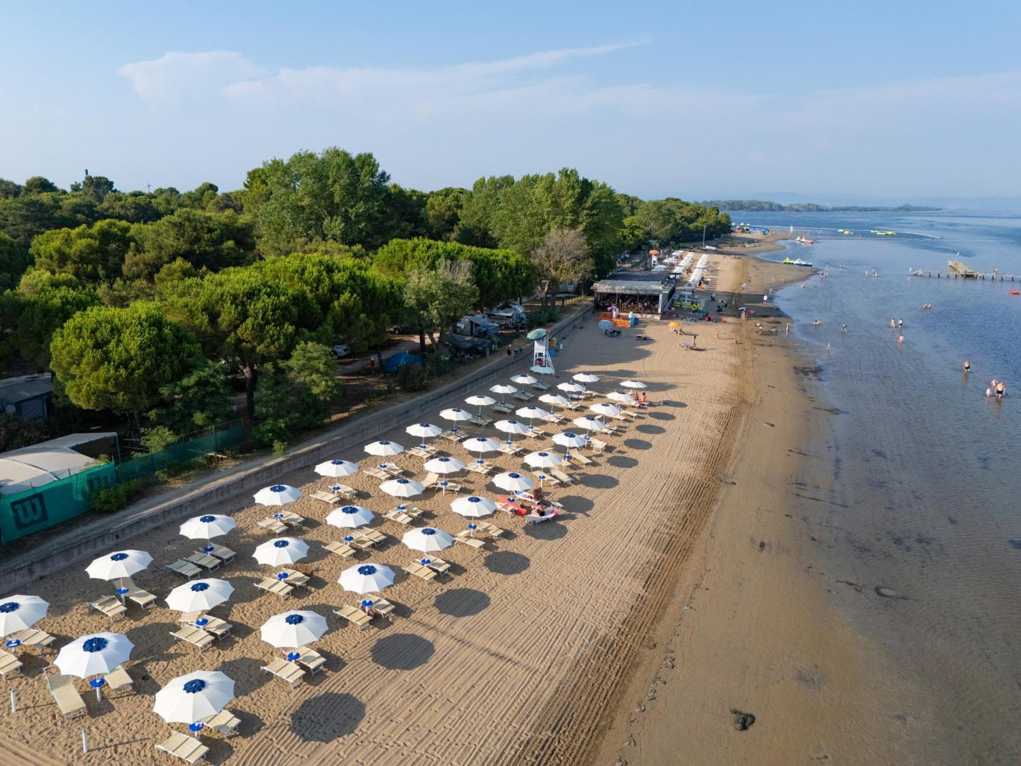 Punta Spin Grado