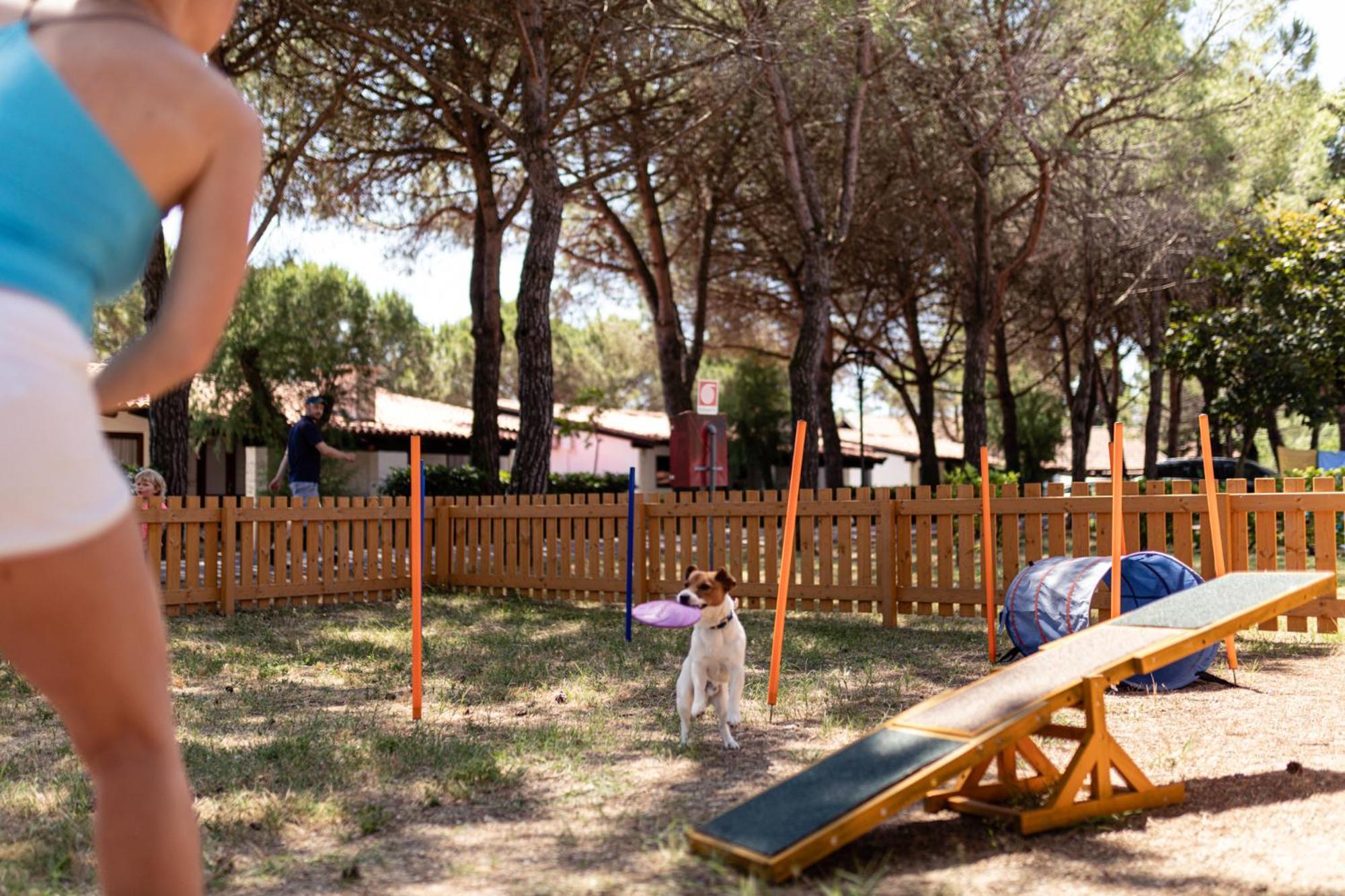 Punta Spin Parco vacanze